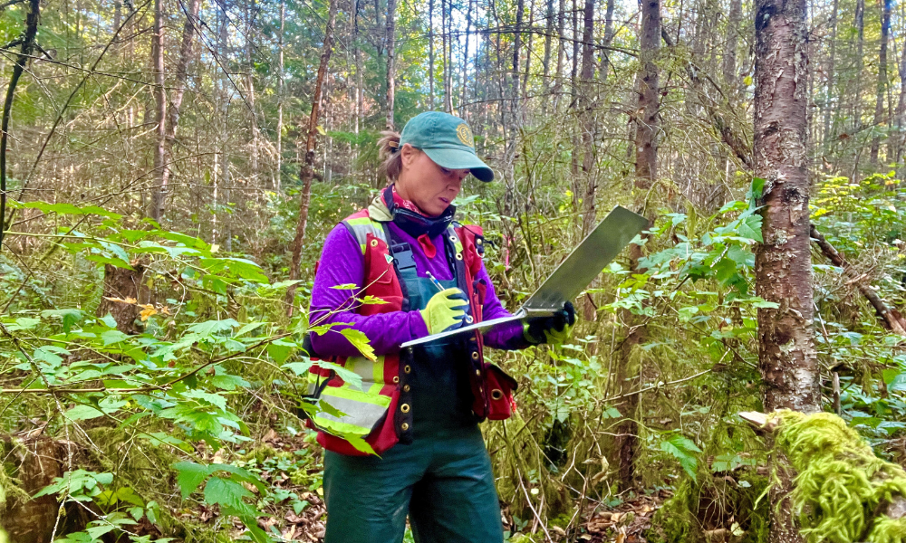 Une scientifique, debout dans une forêt, prend des notes sur une planchette à pince.