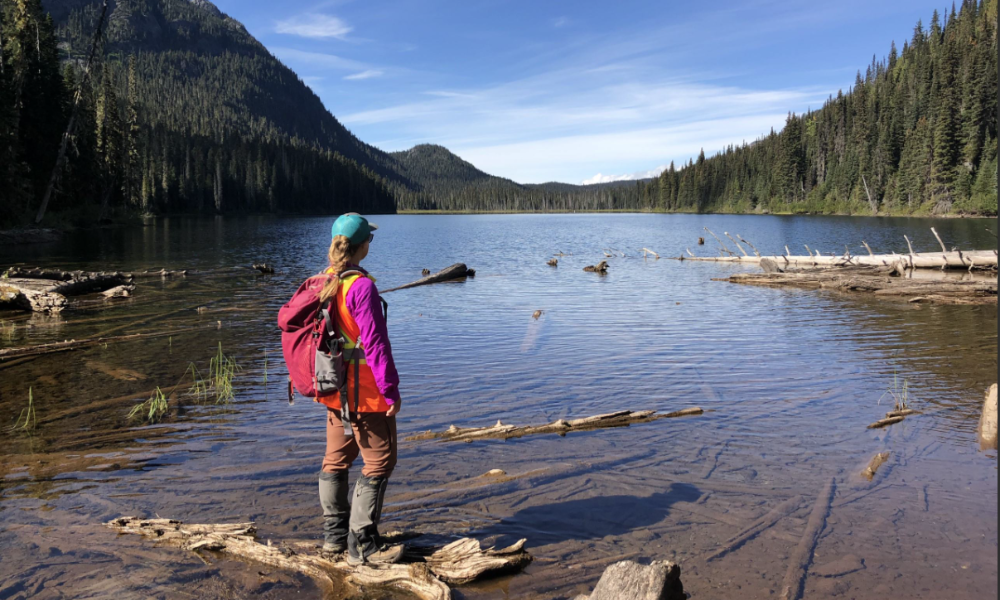 Photo d’une scientifique debout sur un tronc d’arbre immergé, qui regarde l’étendue du lac et la forêt qui l’entoure.