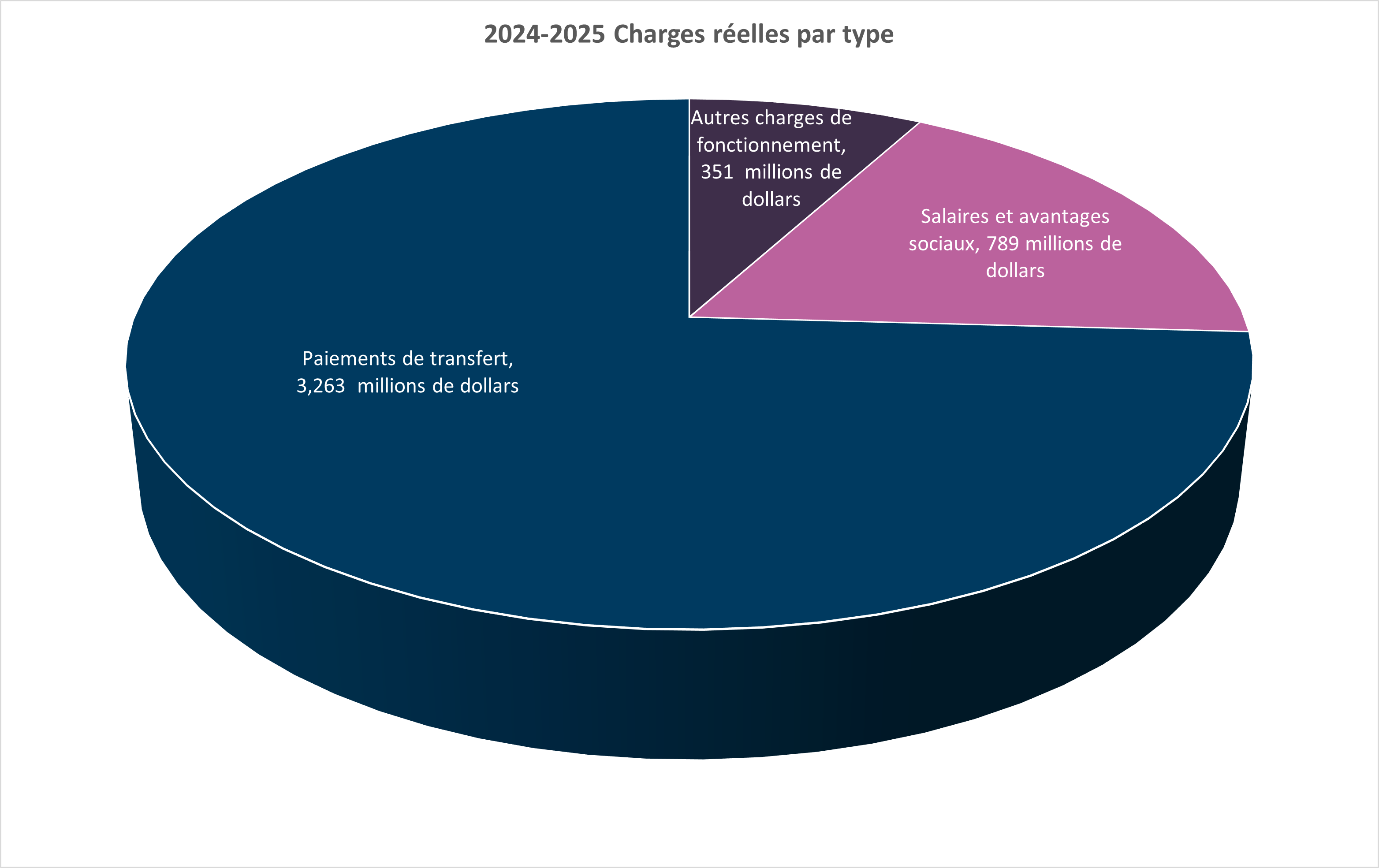 2024-2025 Charges réelles par type (en millions de dollars)