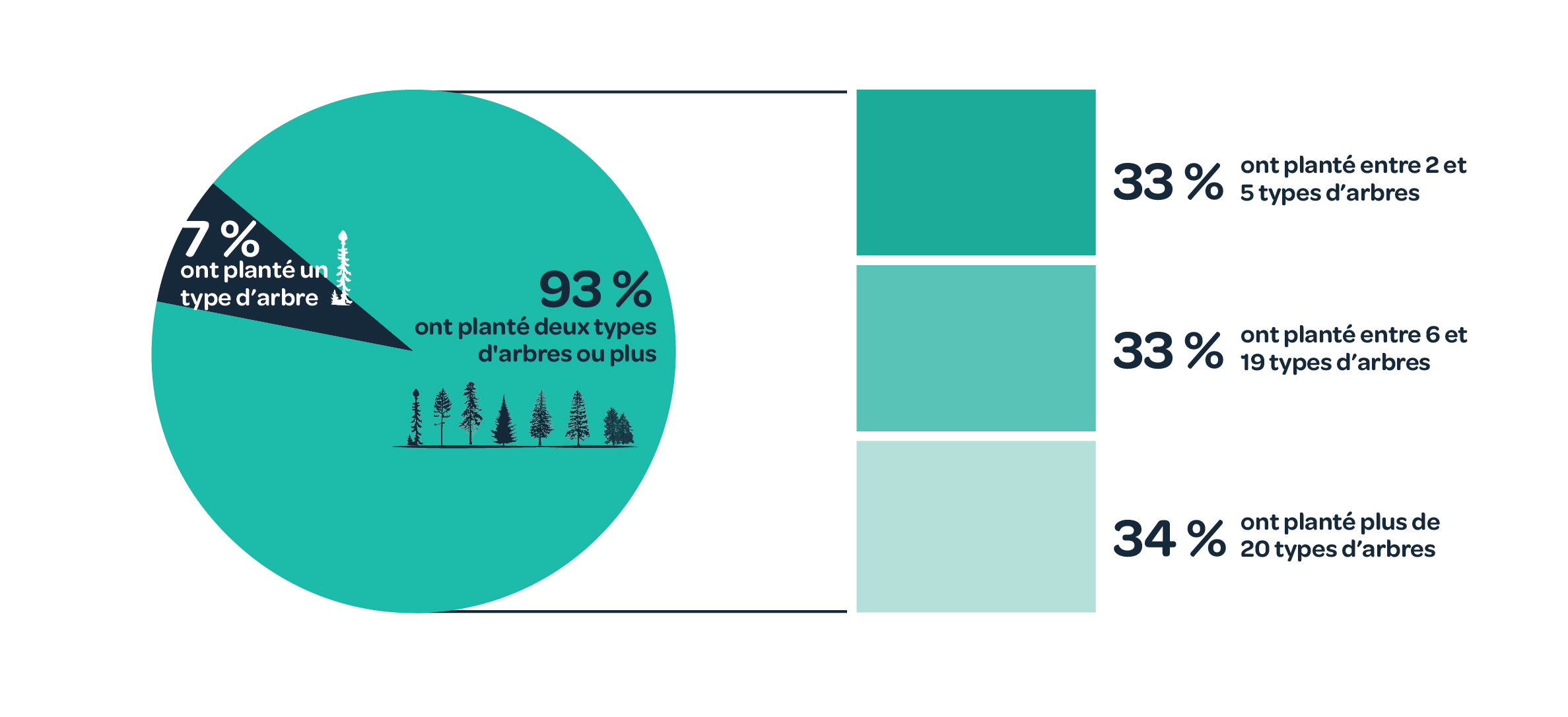 Types d’arbres plantés par les projets de 2021