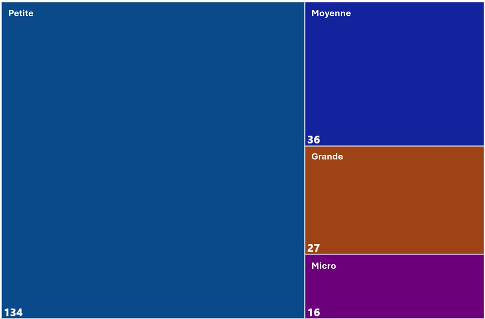 Un graphique treemap montrant la taille relative des entreprises dans les segments en aval de la chaîne de valeur des batteries (micro&nbsp;: 1 à 4 employés, petite&nbsp;: 5 à 99 employés, moyenne&nbsp;: 100 à 499 employés, grande&nbsp;: 500 employés ou plus)