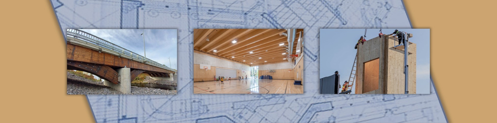 Projets de construction en bois massif