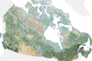 Une carte montrant la couverture terrestre du Canada