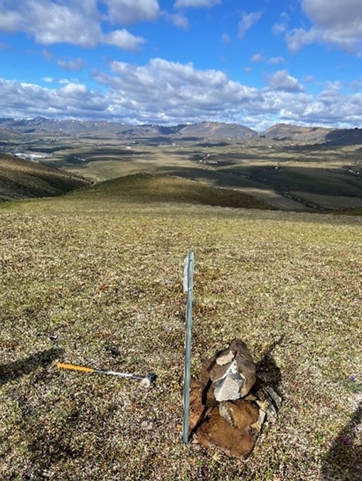 Perche à côté de rochers surplombant une chaîne de montagnes dans le nord du Canada.