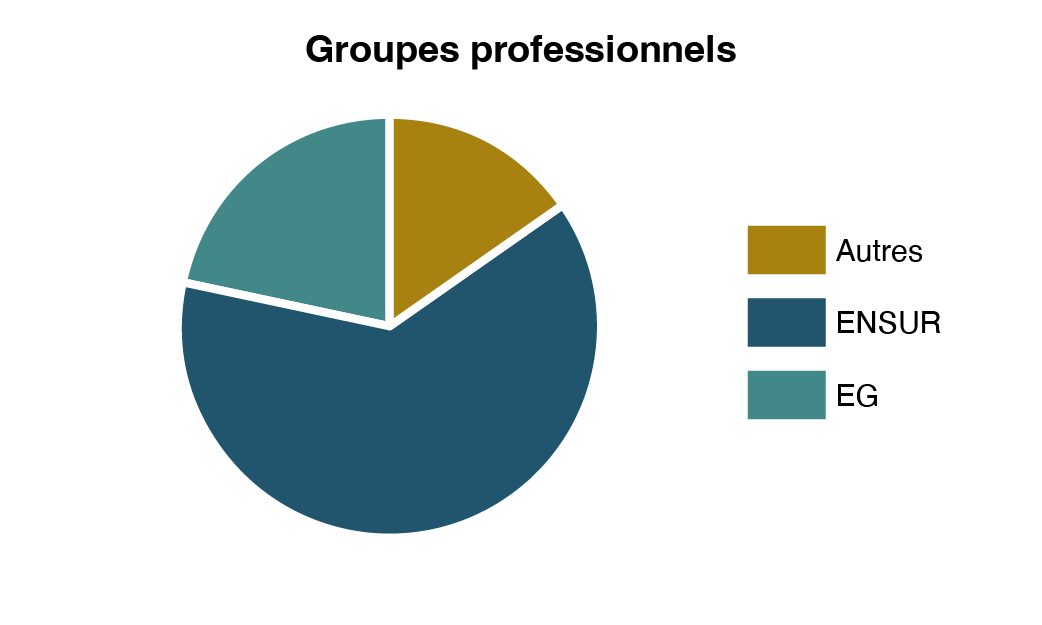 Diagramme circulaire illustrant la répartition en pourcentage des employés de la Direction de l’arpenteur général par groupe professionnel pour l’exercice 2023 2024.