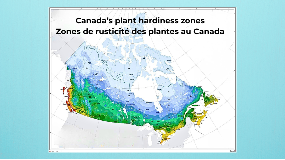 Carte du Canada utilisant un code de couleurs pour illustrer les différentes zones de rusticité des plantes.