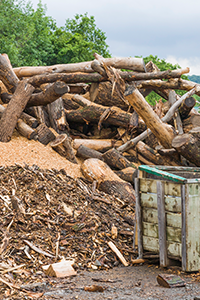 Un tas de bûches coupées empilées à côté de sciure de bois, de copeaux de bois et d’une caisse d’entreposage.
