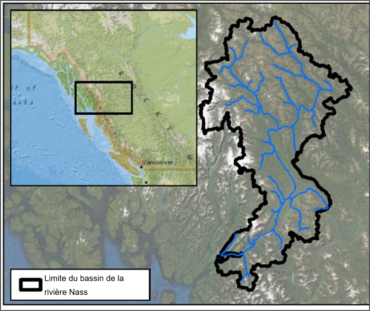 Carte topographique montrant le bassin versant de la rivière Nass.