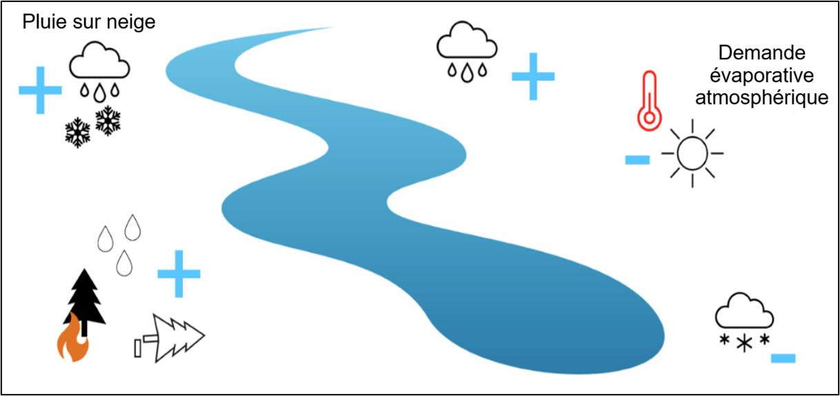 Diagramme illustrant les facteurs influençant le débit d'un cours d'eau.