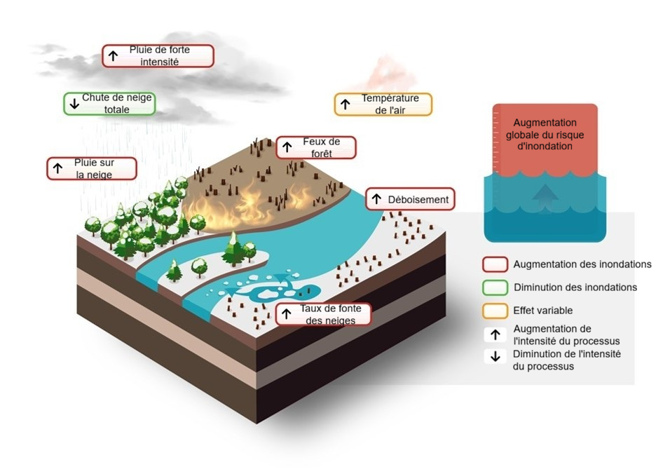 Diagramme des facteurs qui augmentent globalement les risques d'inondations.
