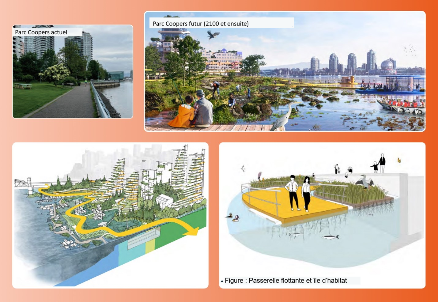 Le parc Coopers actuel avec des conceptions futures riverain montrant des passerelles flottantes naturalisées.