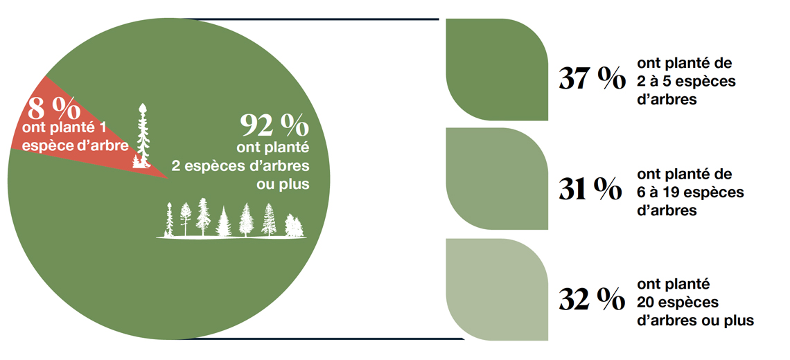 Infographie d’un diagramme circulaire montrant le pourcentage de projets financés par le programme 2 milliards d’arbres qui ont planté deux espèces d’arbres ou plus.