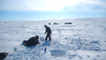 ᒪᕐᕉᒃ ᐃᓅᒃ ᐊᐳᑎᖃᕐᓂᕐᒦᑦᑐᑦ ᐱᓕᕆᔪᑦ ᐊᑐᕐᓗᑎᒃ ᐱᓕᕆᔾᔪᑎᖏᓐᓂᑦ. ᐊᑕᐅᓯᖅ ᐃᓄᒃ ᑐᓄᐊᓃᑦᑐᖅ ᓯᑭᑑᖓ ᐅᓯᓪᓗᓂ ᐊᑐᖅᑕᐅᔪᓂᒃ.