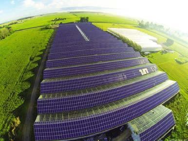 Figure 1 : Vine Fresh Produce Project est la plus grande installation en toiture en Ontario dans le cadre du programme FIT (2,3 MW). Ce projet est le plus grand système avec des micro-onduleurs d’Enphase au monde.