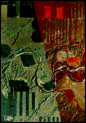 Image infrarouge