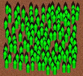 Figure 1 - Image A