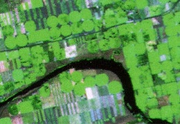 mystérieux cercles font leur apparition dans les champs agricoles
