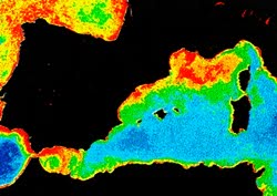 Données sur la couleur océanique de la Mer Méditéranienne