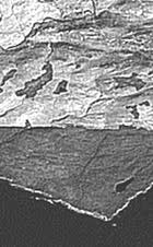 filtres directionnels ou les filtres détectant les contours