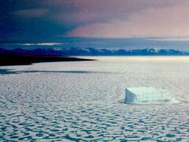 Glaces océaniques