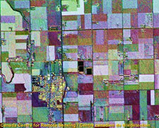 composé couleur
