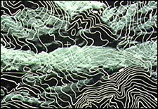 Lignes de contours sur une image RSO