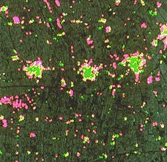 Changement d'utilisation du sol entre une région rurale et urbaine en Egypte