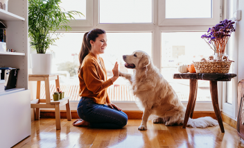 Guide de l’acheteur pour l’achat de fenêtres et de portes