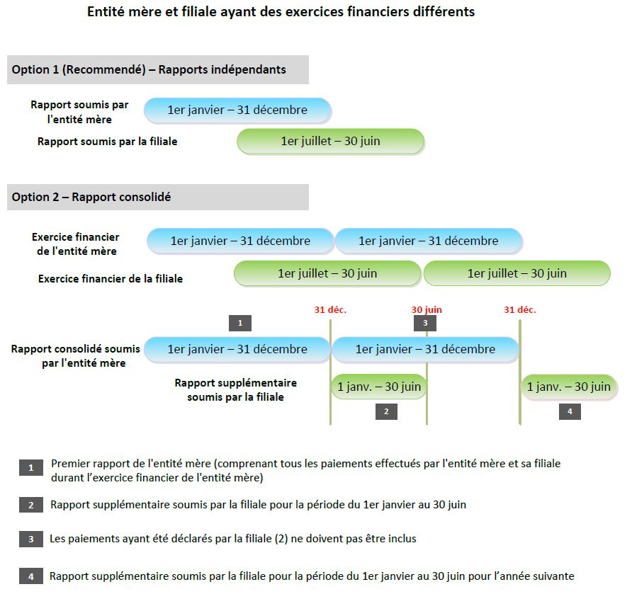 options available for submitting an ESTMA report